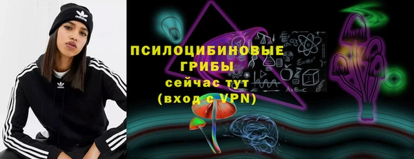 тгк Осинники