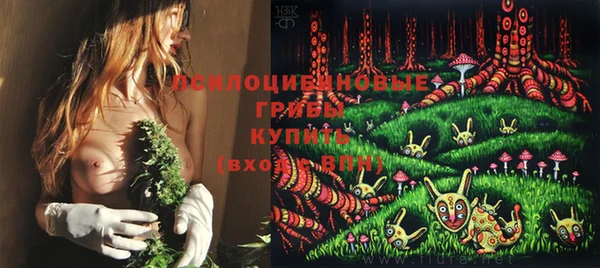ECSTASY Няндома