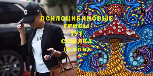 тгк Осинники