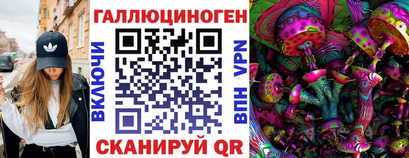 купить наркотики сайты  Чебаркуль  гидра онион  Галлюциногенные грибы Cubensis 